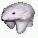 polarbear
