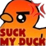 duck2