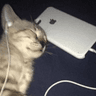 listnintotunes