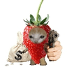 strobbery