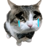 emoji_229