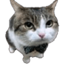 emoji_238