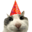 8018partycat