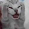 AAAAAAAAAAAAUWHDJJGSHWAAAAAAAAES