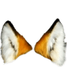 11197011401084765471