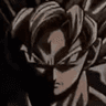 goku_prowler