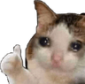 CatSadThumbsUp