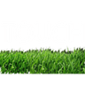 touchgrass