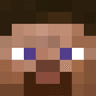 minecraftsteveface