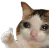 rpq_ok
