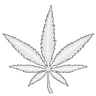 WHITE_Weed