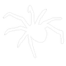 spider_white