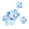 Cc_Blue_Flowers