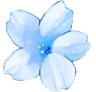 blue_flower