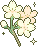 Cafe_Flower_White