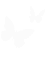 white_butterfly2
