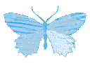 butterfly_blue