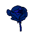rose_blue
