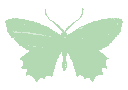 TES_butterfly_green