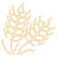 icons8trigo64