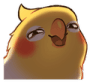 birdyBirb_Hehe