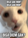332749659_1617199525360034_59428