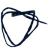 VerasWhip