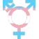 gendtrans