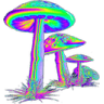 drugshrooms