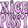 txtnicepussy