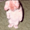 sadcat