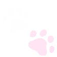 001_floatpaws