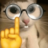 nerd_cat