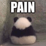 Tafri_PAIN