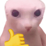 gatofachero