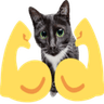 1601musclecat