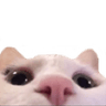 emoji_94