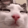 emoji_235
