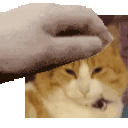 emoji_332