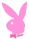 playboy_pink