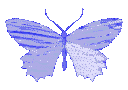 5_ButterflyPurple