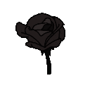 a_rose