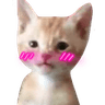 catblush