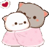 CatSnuggle