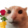 TT_CatForYou