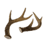 9e_deer_antlers