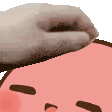 ss_potatopat