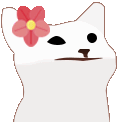 z_bopcat