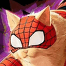 spider_cat