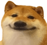 bruhdog